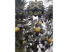 IMG 20230402 140521.jpg