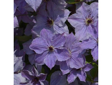 �������� ��������� ��������.jpg(3 ��)