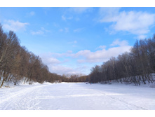 IMG 20230211 140827.jpg