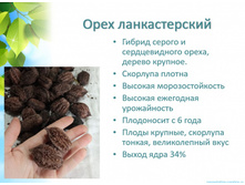 ���� ������������� +23�