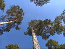 IMG 20210411 140754.jpg