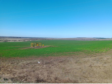 20230415 �200-������� 102908.jpg