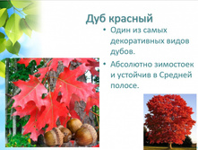 ��� ������� +23�