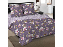 ������ ���� 220 �� ������+���������