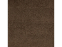 ����� ���� 7