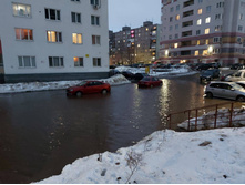 Photo 2023-03-12 19-15-24.jpg