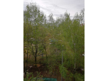 2023, 26 ������