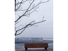 IMG 20230326 145142.jpg