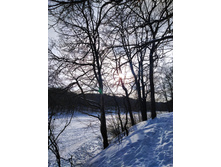 IMG 20230211 141903.jpg