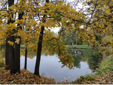 IMG 20211002 144445.jpg