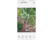 Screenshot 20230505 211006 com.android.gallery3d.jpg