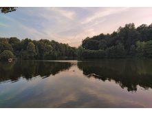 IMG 20200805 195451.jpg