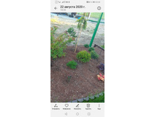 Screenshot 20230510 222457 com.android.gallery3d.jpg