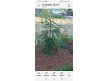 Screenshot 20230510 222442 com.android.gallery3d.jpg