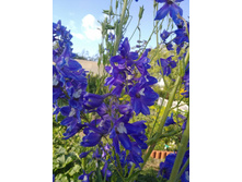 ���������� �����.