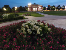 IMG 20200805 211026.jpg