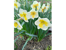 2. ������� - 15 � - ��������