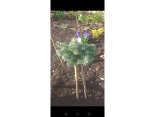 Screenshot 20230505 210854 com.android.gallery3d.jpg