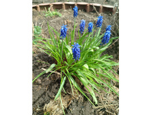 ������� 5 � - ��������