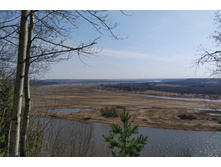 IMG 20230503 125152.jpg