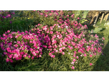 ��������� � �����