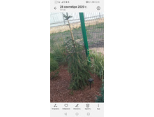 Screenshot 20230510 222625 com.android.gallery3d.jpg