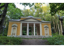 IMG 20200805 190639.jpg