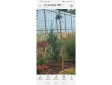 Screenshot 20230510 223222 com.android.gallery3d.jpg