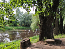 IMG 20200810 160413.jpg