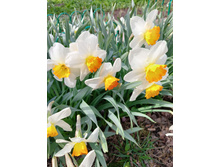 4. �������