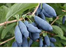 ��������� ����� �9.jpg