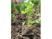 ����������� viber 2023-05-01 11-22-57-055.jpg