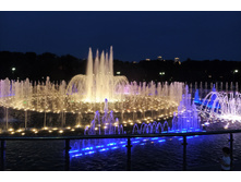 IMG 20200805 210337.jpg