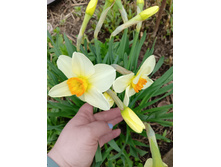 1. �������