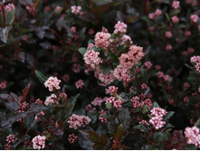 �������������  ���� �����(���)