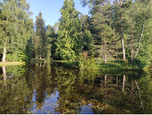 IMG 20200808 190307.jpg