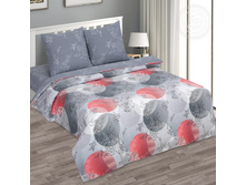 ������� ������ 220 �� ������+���������