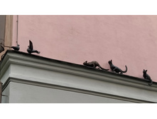 IMG 20200811 191811.jpg