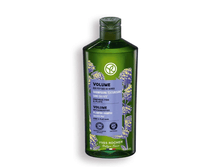 420 ��� - ������� ����� � ��������� ����� - ��� ��������� - ��� ������ � �������� ������ �����, 300�� ��� 88558