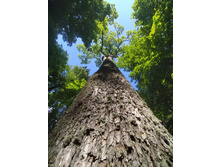 IMG 20200808 155154.jpg