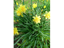 ����������� viber 2023-05-01 11-22-56-897.jpg