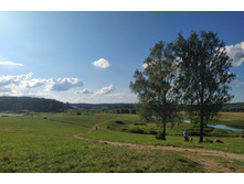 IMG 20200808 174906.jpg