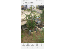 Screenshot 20230510 222247 com.android.gallery3d.jpg