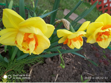 IMG 20230429 125158.jpg