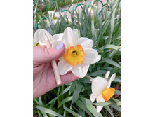 4. �������