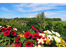 IMG 20230611 162543.jpg