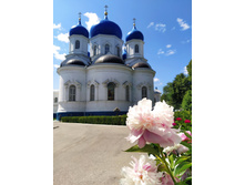 IMG 20230612 123905.jpg