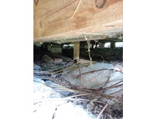 ����������� viber 2023-06-05 20-29-52-195.jpg