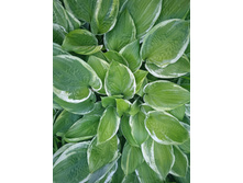 IMG 20230623 203849.jpg