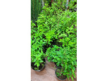 ����������� viber 2023-05-31 08-33-19-913.jpg